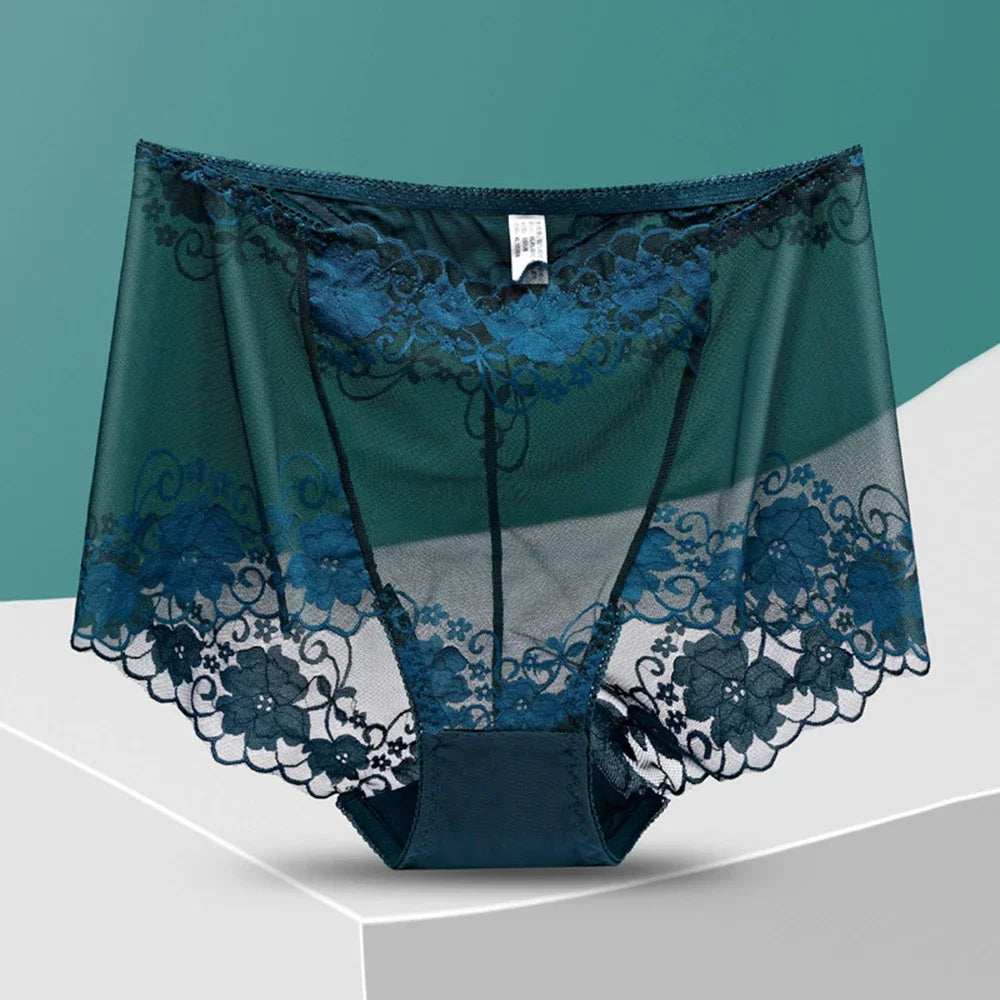Plus Sized Translucent Lace Panty
