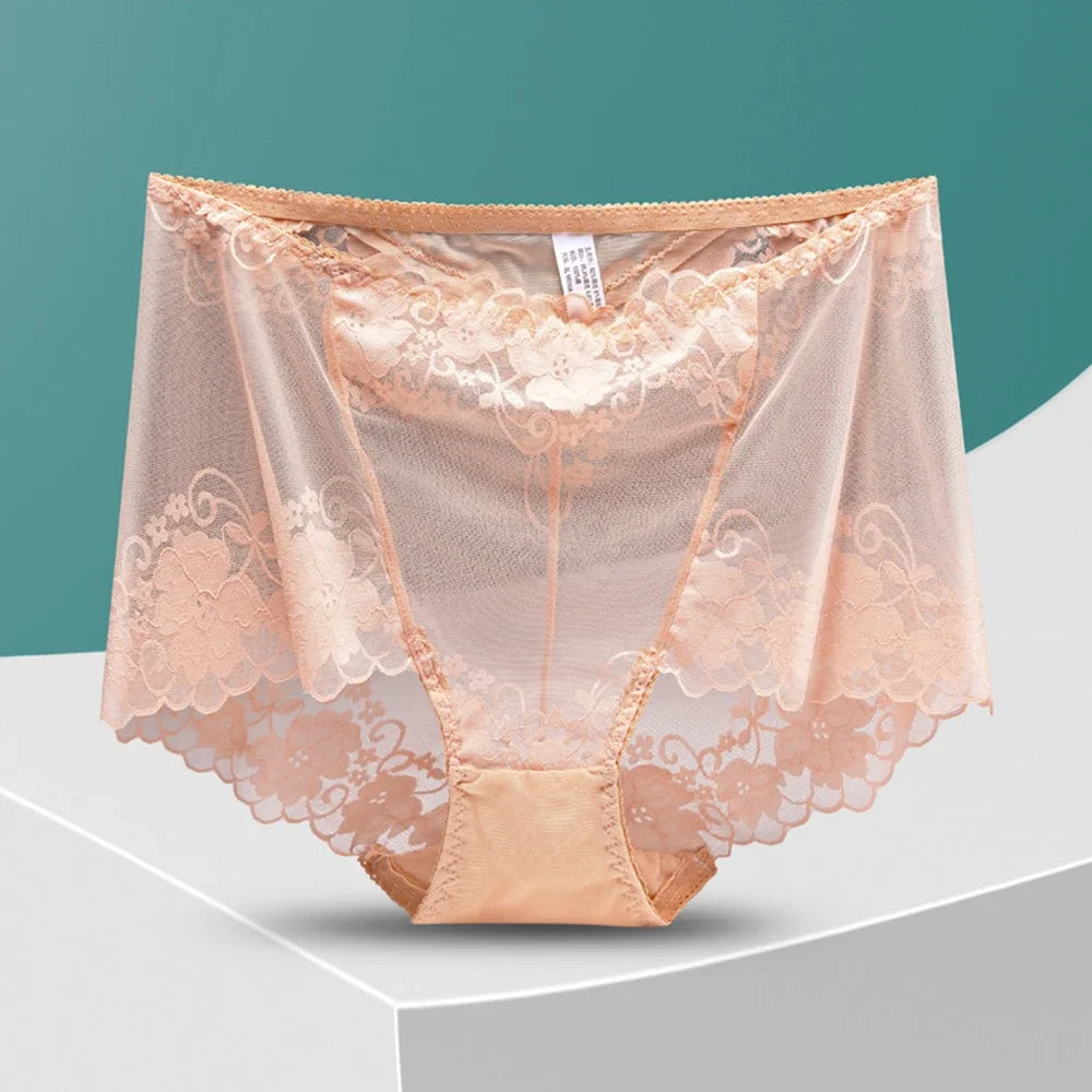 Plus Sized Translucent Lace Panty