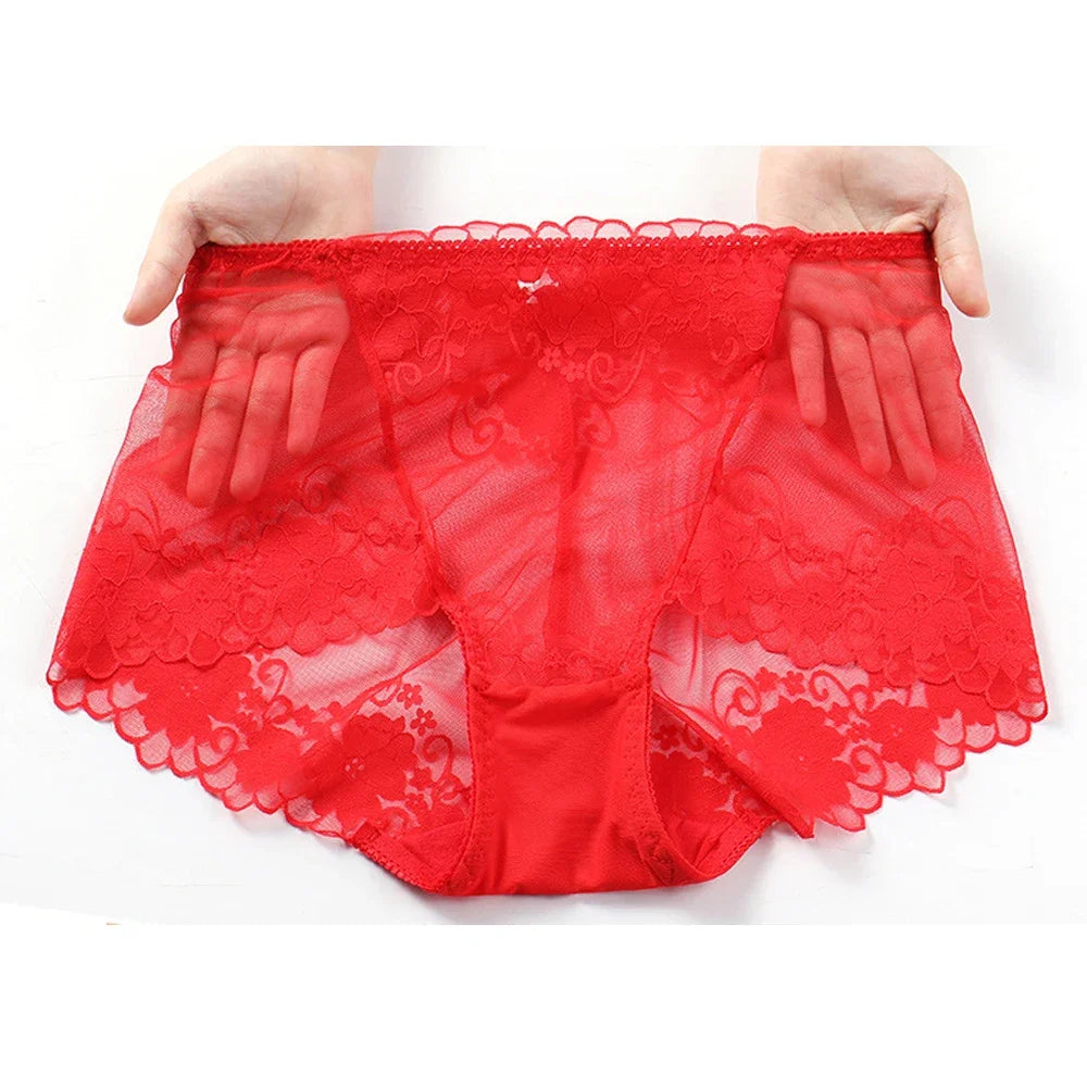 Plus Sized Translucent Lace Panty